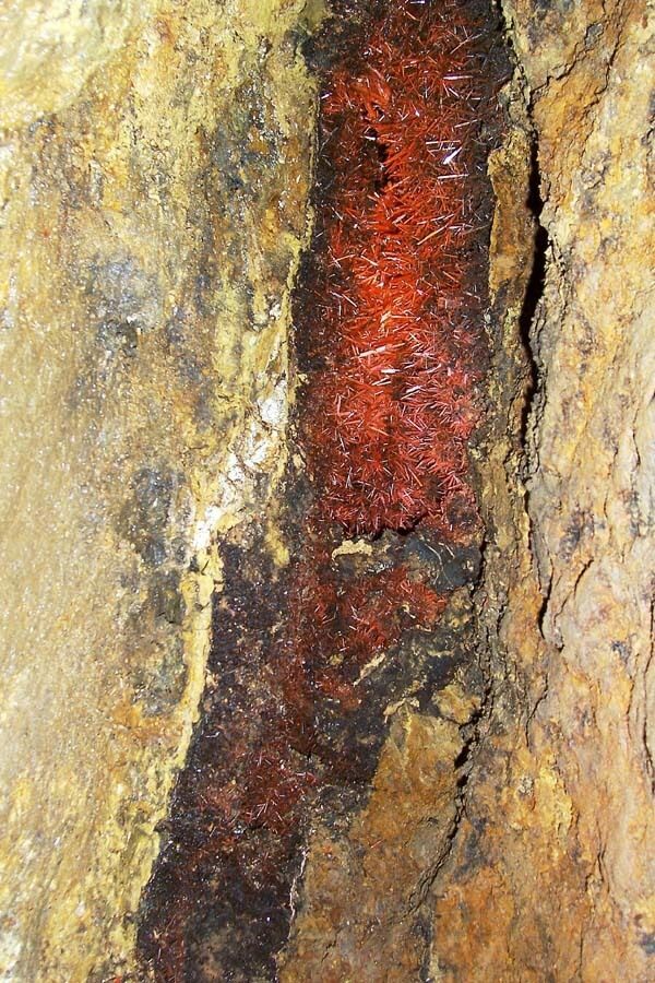 A closer view of a pocket of crocoite at the Adelaide Mine.